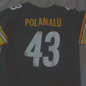 Rare Polamalu Pittsburgh Steelers jersey